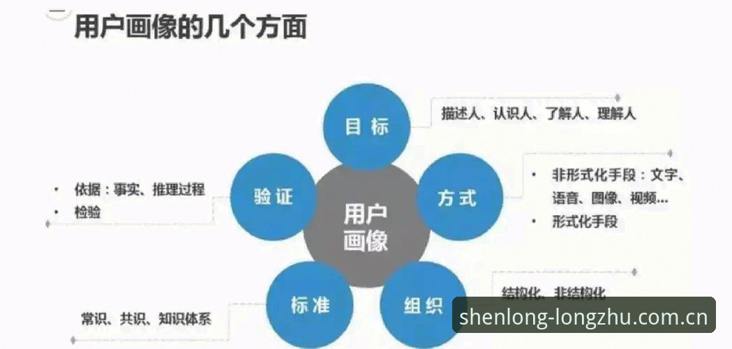资深用户揭秘：如何高效联络最新龙珠体育客服的实战心得